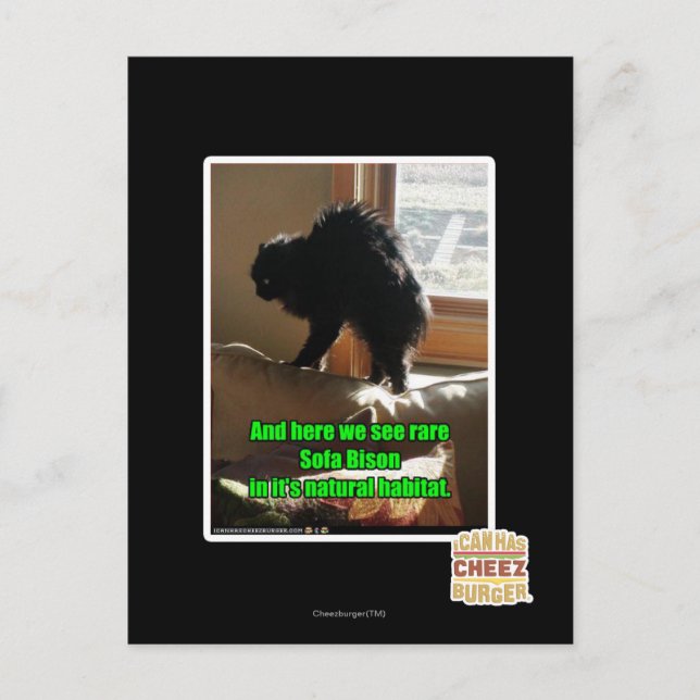 Soffa Bison Vykort (Framsida)