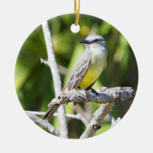 Soffa Kingbird av Yucatanen Julgransprydnad Keramik
