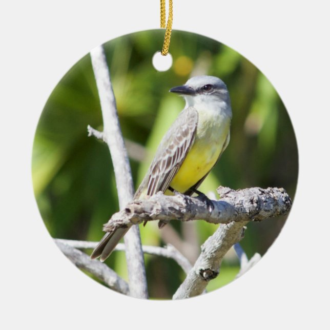 Soffa Kingbird av Yucatanen Julgransprydnad Keramik (Framsidan)