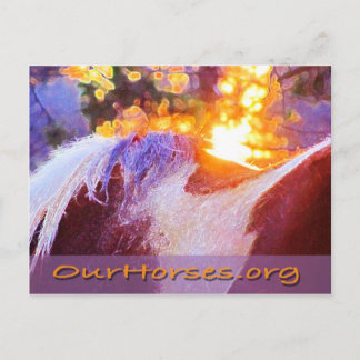 Sofi back-vykort vykort