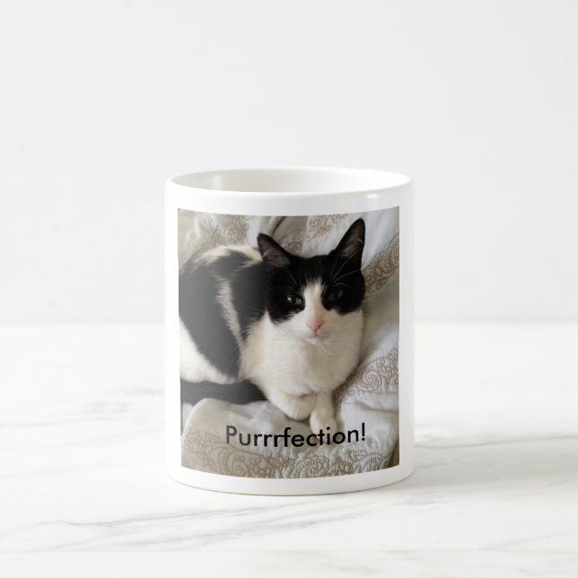Sofistikerad kaffe-dricka katt: "Purrrfection! ", Kaffemugg (Center)