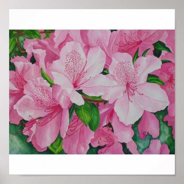 Soft Azaleas Poster (Framsidan)