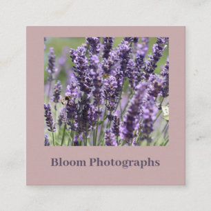 Soft BeSnyval Lavender Fält Affärskort Fyrkantigt Visitkort