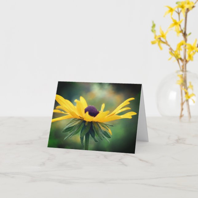 Soft Black Eyed Susan Flower Note Kort (Gul blomma)