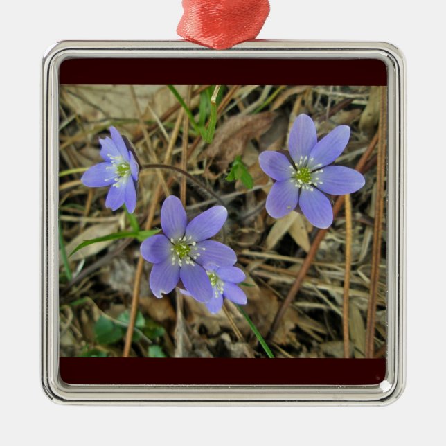 Soft Blue Hepatica Wildblomma Ornament (Framsidan)