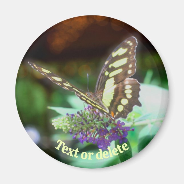Soft Butterfly On Flower Nature Personalized Magnet (Framsidan)