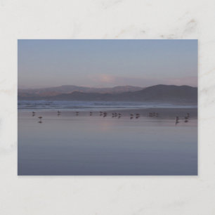 Soft California Kusten Sunset Vykort