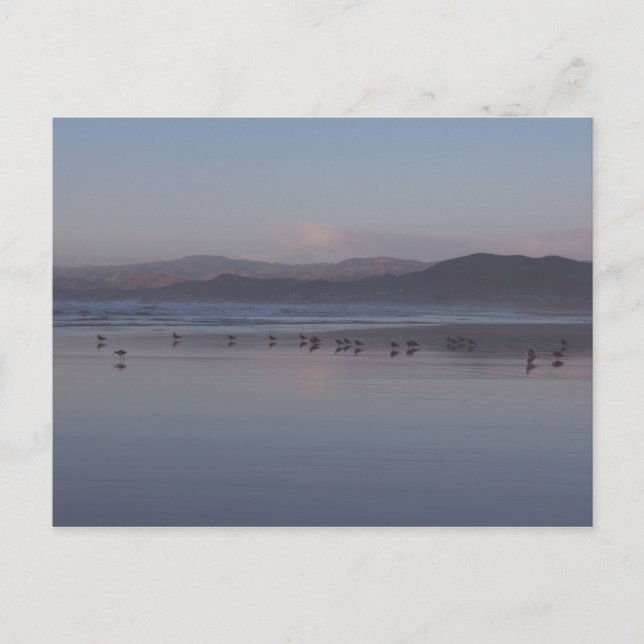 Soft California Kusten Sunset Vykort (Framsida)