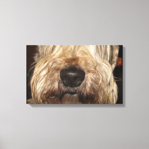 soft coated wheaton terrier.png canvastryck