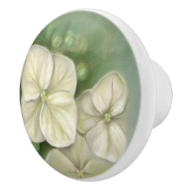 Soft Cream White Pastel Hydrangea Blommigt Knopp