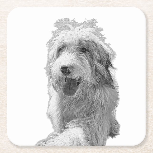 Soft Eyes, Solid Surface – Monochrome Dog Portrait Underlägg Papper Kvadrat (Framsidan)