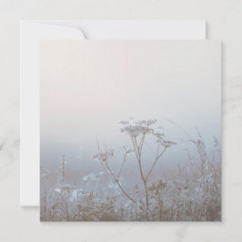 Soft Frosty Morning Nature Kort