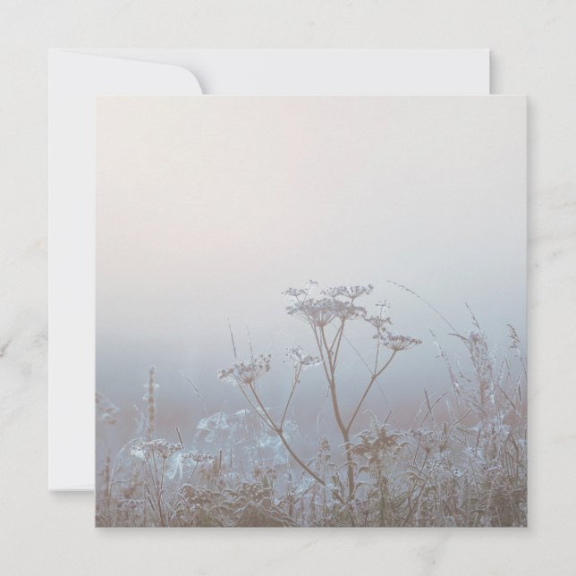 Soft Frosty Morning Nature Kort (Framsida)