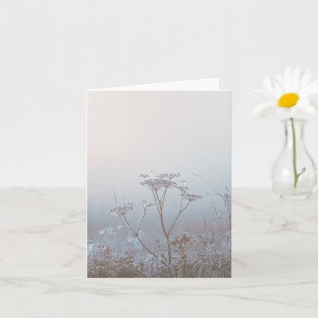 Soft Frosty Morning Nature Sympathy Kort (Liten växt)