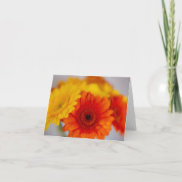 Soft Gerber Bunch Kort