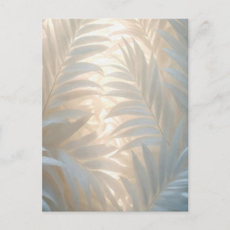 Soft gold of white tropics, pastel palm leaves vykort