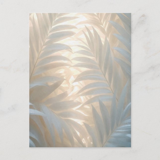 Soft gold of white tropics, pastel palm leaves vykort (Framsida)