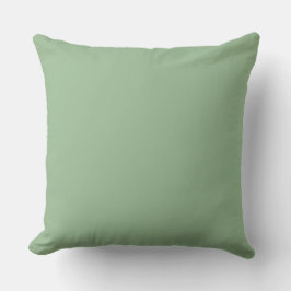 Soft Green,Lovely, Solid, Modern, Simple, Trendy Kudde