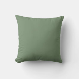 Soft Green Solid Color, Simple,Modern, Trendy Kudde