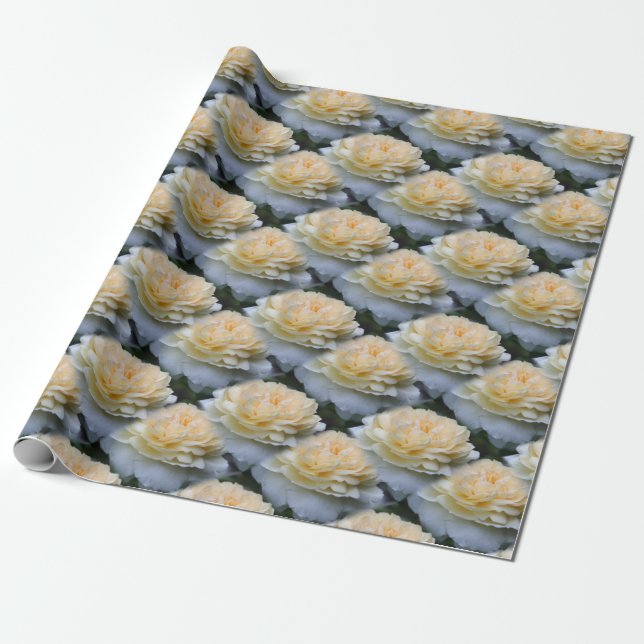 Soft Gul ros Flower Mönster Natur    Presentpapper (Utrullad)