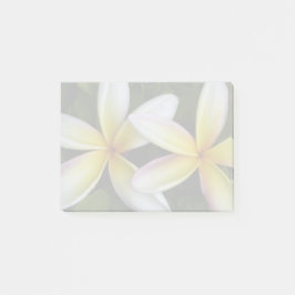 Soft Hawaiian Plumerias Post-it Block