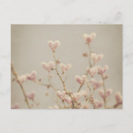 Soft Heart Blossom Postcard – Romantic Botanical  Vykort