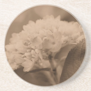 Soft Hydrangea Sepia Blommigt Underlägg Sandsten