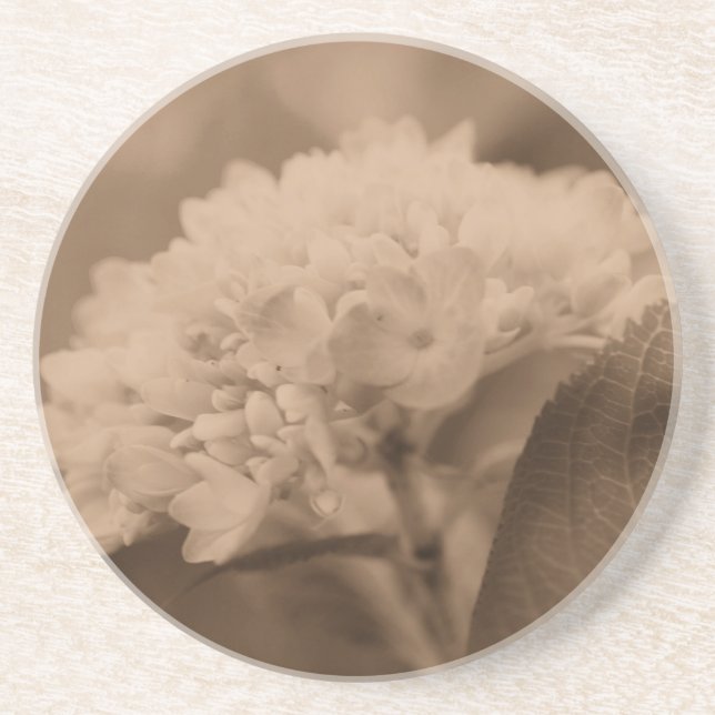 Soft Hydrangea Sepia Blommigt Underlägg Sandsten (Framsidan)