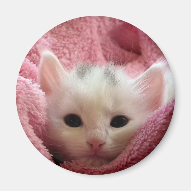Soft Kitten Magnet (Framsidan)