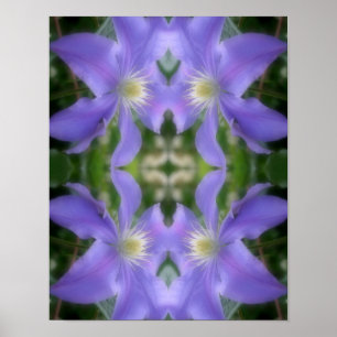 Soft Lila Clematis Flower Petals Abstrakt Poster