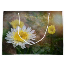 Soft och Dreamy Birthday