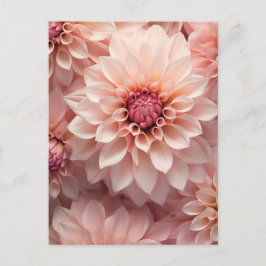 soft pastel colored dahlia flower  vykort