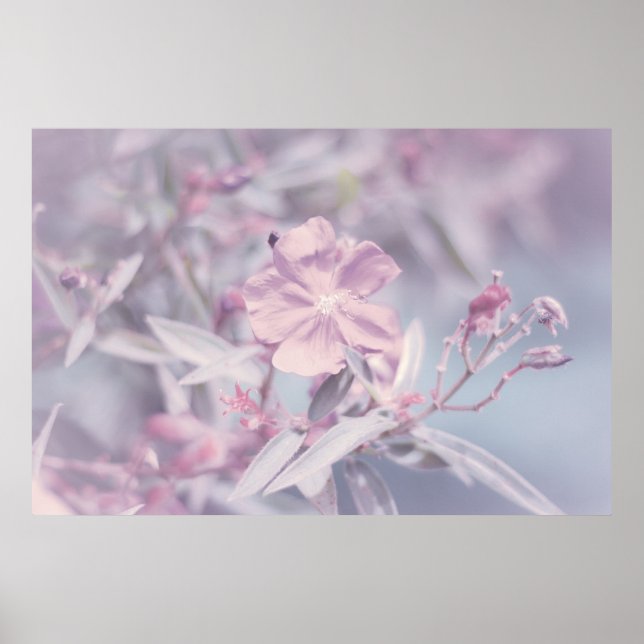 Soft Pastel Lavender Flower Poster (Framsidan)