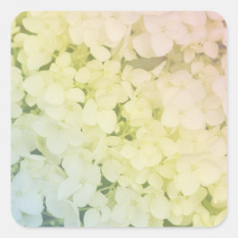 Soft Pastel Rainbow Hydrangea Fyrkantigt Klistermärke