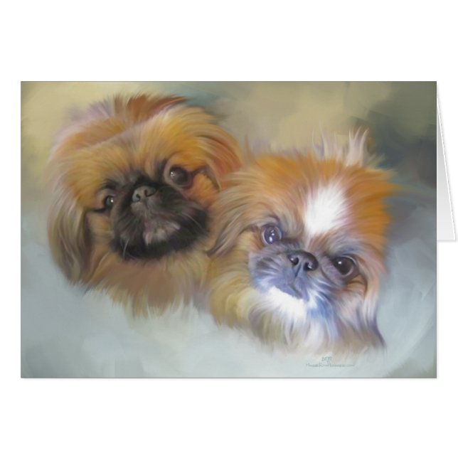 Soft Pekingese Duo Hälsningskort (Framsidan Horizontal)