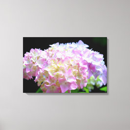 Soft pink yellow purple hydrangeas flowers canvastryck