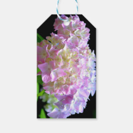 Soft pink yellow purple hydrangeas flowers presentetikett
