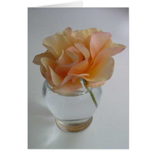 Soft Ro OBS Kort (Framsidan)