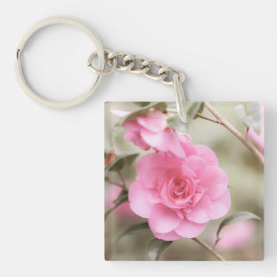 Soft Rosa Camellia Flower