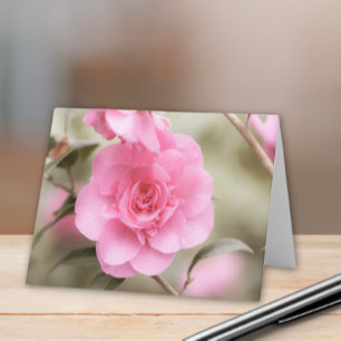 Soft Rosa Camellia Flower Anteckningskort