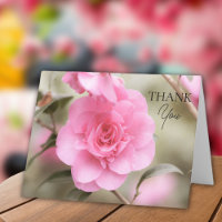 Soft Rosa Camellia Flower