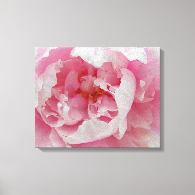 Soft Rosa Peony Elegant Photographic on Canvas (Framsida)
