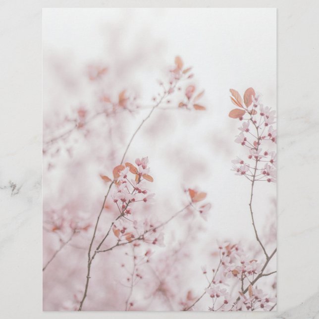 Soft sakura blooms scrapbook paper (Framsida)