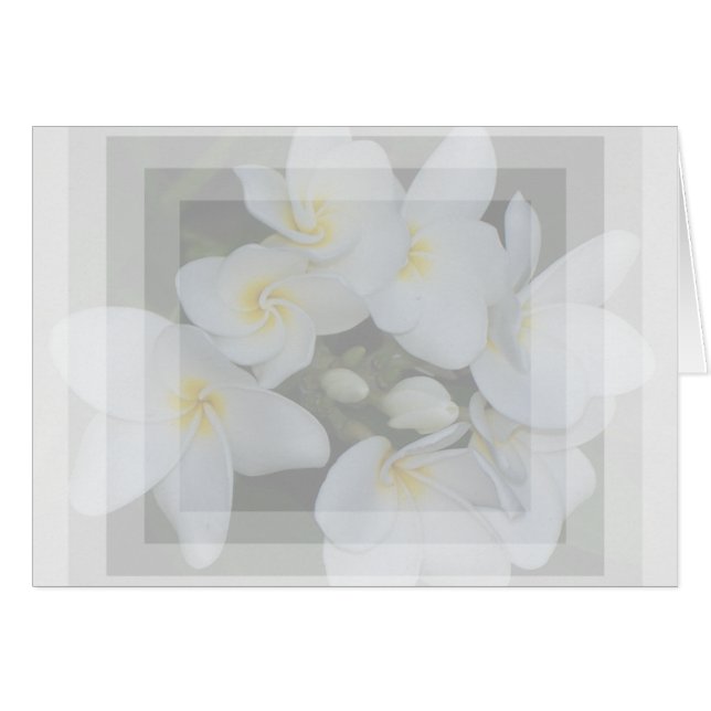 soft&sweet hälsningskort (Framsidan Horizontal)