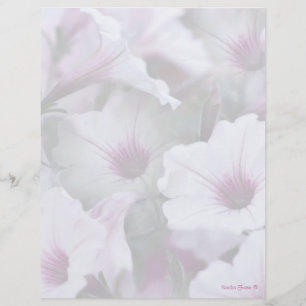Soft White och Rosa Petunias Letterhead