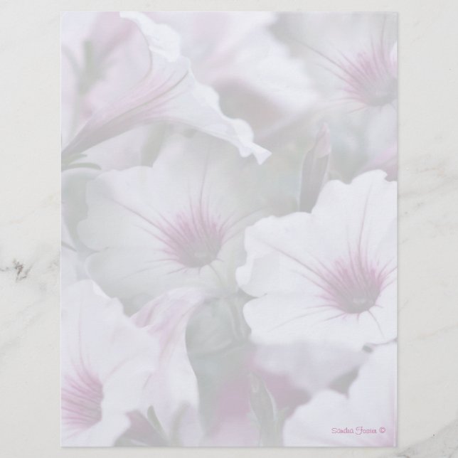 Soft White och Rosa Petunias Letterhead (Framsida)