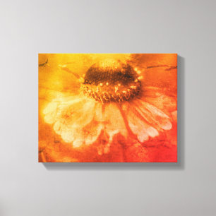 Soft Zinnia Daisy blomma in Sepia Vintage Canvastryck