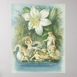 Softness - älvor, svan och blomma poster