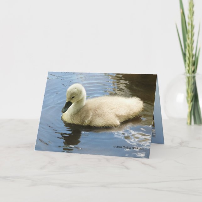 Softness av ett barn kort (Framsida)