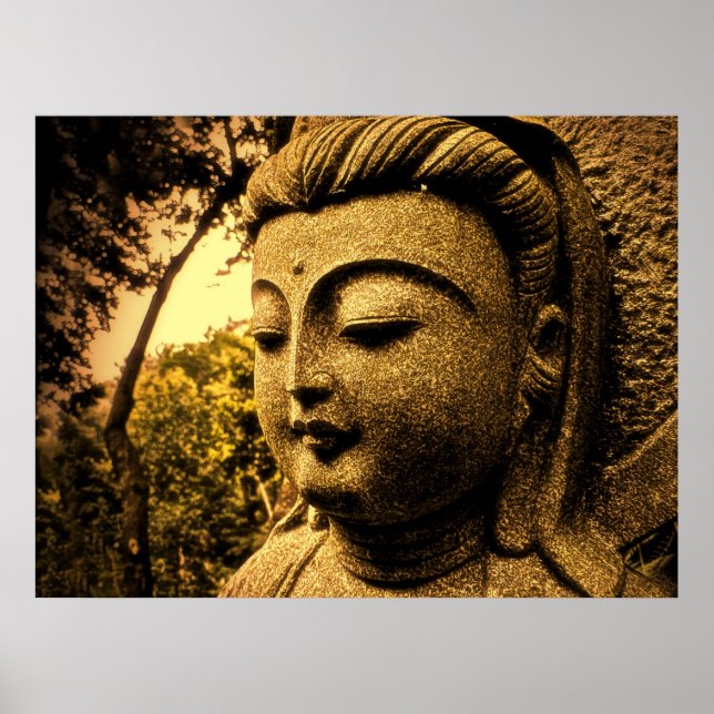 SOFTPEACE POSTER (Framsidan)